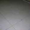 DSCN6295