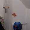 DSCN0250