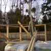 DSCN0636