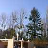 DSCN0687