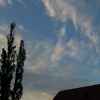DSCN1259