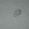 DSCN1384